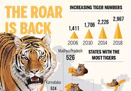 india home to 2 967 tigers says census revealed on global