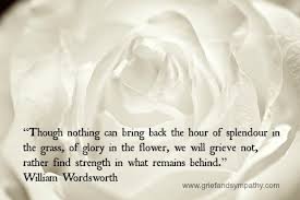 We did not find results for: Comfort In Sorrow Quotes Quotesgram