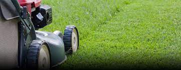 See the top reviewed local gardeners, lawn care and sprinklers in adelaide, sa, au on houzz. Adelaide Lawn Mowing Garden Service Professionals Alma Alma Adelaide Lawnmowing Gardening Tree Professionals