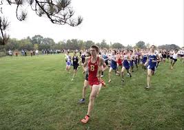 WW South, McKenna take titles at St. Charles North