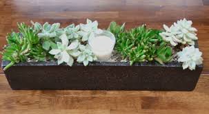 Diy Table Top Succulent Planter Shelterness Succulent Planter Diy Succulent Centerpieces Succulents Diy