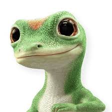 Full list of animal related subreddits right here. The Geico Gecko Thegeicogecko Twitter