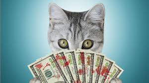 The first method is known as the rescoe clipper and is the easiest procedure available. Declawing Is Good For Veterinarians But Bad For Cats
