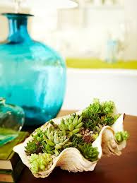  spaghetti frutti di mare. Originali Composizioni Verdi Realizzate Con Le Conchiglie Guida Giardino