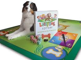 Lucky Dog Lottery 00300 Pet Game Continue To The Product At The Image Link Note It Is Affiliate Link To A Animal Games Fun Games For Kids Lottery Strategy