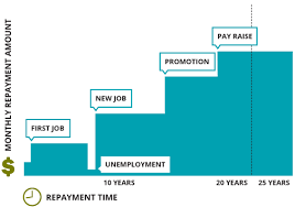 types of federal student loan repayment plans great lakes