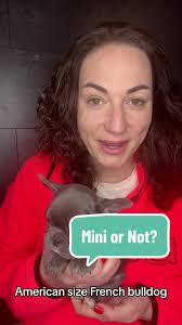 Lisa Fiola Cup Bulldogs