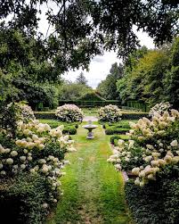 La Derniere Pour Le Jardin Botanique De Haute Bretagne Au Printemps N Hesitez Pas A Y Faire Un Tour Il Est Vraiment Magnif Garden Dolores Park Park