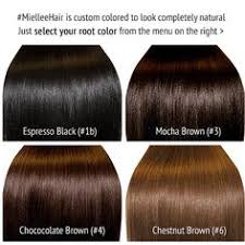 28 Albums Of Dark Brown Hair Color Chart Explore