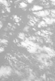 Top 60 Dappled Light Stock Photos Pictures And Images Istock Light And Shadow Photography Shadow Photography Light Blue Aesthetic Cloud shadow animal tail png image. pinterest