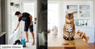Tergantung usia kandungan, untuk kandungan muda dapat menghambat perkembangan janin sampai akhirnya gugur. Enam Tips Agar Rumah Kekal Bersih Jika Bela Kucing Dalam Rumah