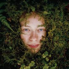 simonhedges' collection