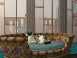 If you allergic to fur, you can keep parrots or canaries. I Lost My Cat In April And It Always Makes Me Happy To See A Little Part Of Him Is Still Alive In My Sims 2 Save Thesims