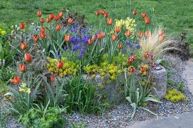 Browse summer blooming flower bulbs including calla lilies, dahlias, caladiums and more annual plants & seeds for sale at burpee. Tips On Buying Bulbs For Fall Planting The New York Times