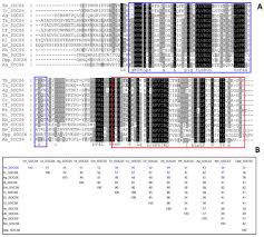 Field list for p14_socso50a_data table on an s/4 sap system. Insects Free Full Text Molecular Cloning And Expression Analysis Of Three Suppressors Of Cytokine Signaling Genes Socs5 Socs6 Socs7 In The Mealworm Beetle Tenebrio Molitor Html