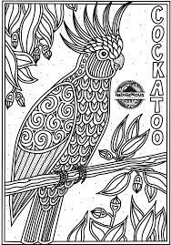 17) nada (arabic origin), meaning dew at sunrise. Free Aboriginal Colouring In Animals For Kids Digital Print Indigenous Clothing Co