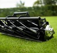 How to choose the right reel for your lawn | SWARDMAN