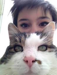 Cats resemble magic kingdom characters