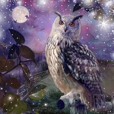 Birds Of A Feather 2020 Episodes Night Owl In 2020 Owl Animals Painting