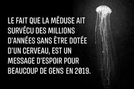 14 situations qui le prouvent. Les Cons Ca Ose Tout C Est Meme A Ca Qu On Les Reconnait Seronet