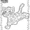While many of these coloring page are cute, there are also several more scary options and pages with complex fill patterns. 1