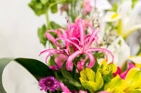 Check spelling or type a new query. Watkins Flowers Of Distinction 47 Photos 16 Reviews Florists 8490 Honeycutt Rd Raleigh Nc United States Phone Number Yelp