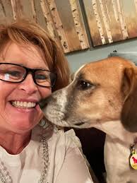 Introduction and photo of rescue dog