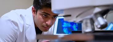 Current GBS Students