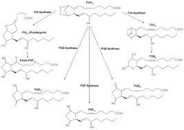 We did not find results for: Prostaglandine Wikipedia