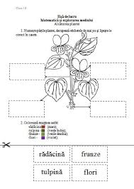 Livrare gratuita la comenzi peste 99 lei, oriunde in romania. AlcÄƒtuirea Plantei FiÈ™Äƒ De Lucru Pentru Clasa I Materiale Didactice De 10 Zece