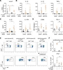 Outils gestion des cong�s int�grant les collaborateurs temps partiel. H Pylori Modulates Dc Functions Via T4ss Tnfa P38 Dependent Socs3 Expression Cell Communication And Signaling Full Text