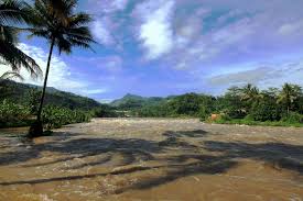 .ikan di danau saguling tepatnya dekat cililin jawabarat, untuk ikan di sini yang sering menampakan diri baru ikan nila dan beberapa ikan gabus kecil saja mungkin karna danau ini masih surut. Banjir Cekungan Bandung Dan Keberlanjutan Sungai Citarum Mongabay Co Id