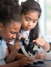 Surges Into Second Season