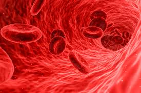 Image result for Anemia