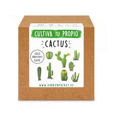 Te explicaremos todos los pasos, desde escoger. Compra Semillas De Suculentas Y Cactus Conoce Como Sembrarlas