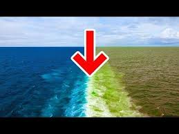 Why The Atlantic And Pacific Oceans Don T Mix Youtube Pacific Ocean Ocean Sea And Ocean