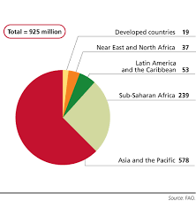 2011 World Hunger And Poverty Facts And Statistics