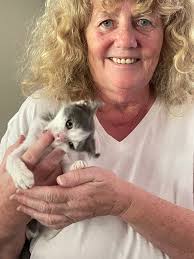 Two of the babies are still here. I can't find the third baby! It seems to  have totally gone but I don't know where it could have gone!! Ephe's babies  are nice