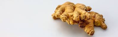 You can get them at almost any store that has a gardening section. Growing Ginger With Helpful Tips For Indoor And Outdoor Growing Insteading