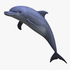 3d Max Dolphin Collage Illustration Dolphins Vaporwave