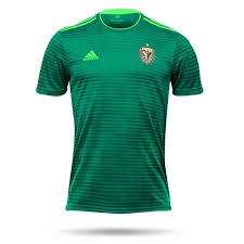 U jednego z zawodników wykryto zakażenie koronawirusem. Koszulka Adidas Slask Wroclaw 18 Domowa Herb Dla Kibica Liga Polska Slask Wroclaw Futboloutlet Pl Wyprzedaz Butow Odziezy I Akcesoriow Pilkarskich