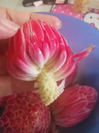 3 cara menghitung bunga pinjaman. Resepi Sedap Sambal Bunga Kantan Tumis Dengan Ikan Bilis Bagi Kering Mingguan Wanita