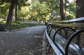 We did not find results for: Banke Im Central Park Manhattan New York City Lizenzfreie Fotos Bilder Und Stock Fotografie Image 25941295