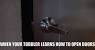 Velociraptor Toe Tap Gif