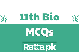 Cbpbook.com offers secondary stage english book two for class x sindh textbook board jamshoro buy online with best lowest price in pakistan with fast shipping in all major cites of pakistan including karachi, rawalpindi, sialkot, islamabad, gujranwala. 1st Year Biology Chapter 6 Prokaryotics Mcqs Ratta Pk