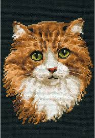 I picked up this stool for £10 from ebay. Cross Stitch Red Cat Counted Cross Stitch Kit 8 25x12 10 Count Home Hygieneking Nz