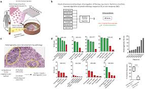 It depends on the type of cancer your cat has. Cooperative Adaptation To Therapy Cat Confers Resistance In Heterogeneous Non Small Cell Lung Cancer