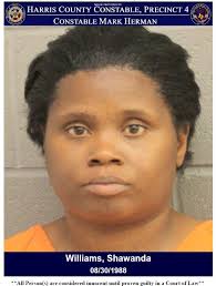 CONSTABLE DEPUTIES ARREST SUSPECT FOR THEFT AT TARGET ON NORTH FREEWAY! On  July 27, 2025, deputies with Constable Mark Herman's Office responded to  the Target store located at 19511 North Freeway in