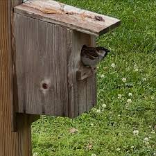 My sweet, sweet uncle Mack Greer passed away this morning. I loved that man  with all my heart. He was a jewel and always shared his love, laughter and  table with my