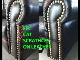How to remove scratches from leather? Easy Cat Scratch Leather Repair Youtube